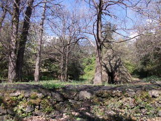 fugio Pianobello02-05-2022 09-45-34